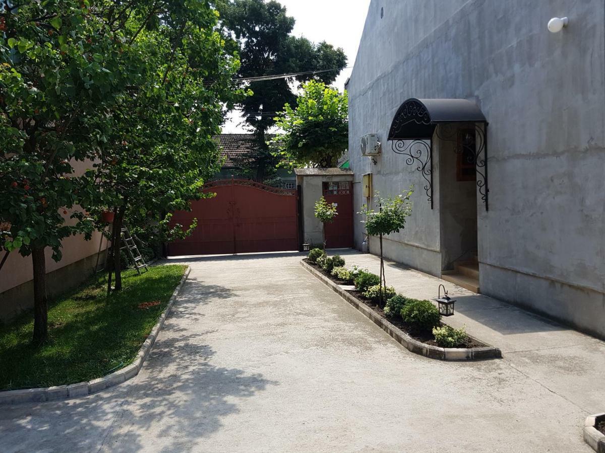 Apartman Vila Milica Kikinda Exteriér fotografie
